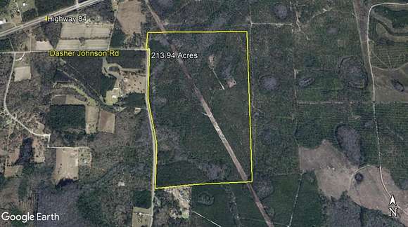 214 Acres of Recreational Land for Sale in Valdosta, Georgia