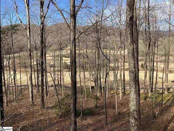 0.9 Acres of Residential Land for Sale in Travelers Rest, South Carolina