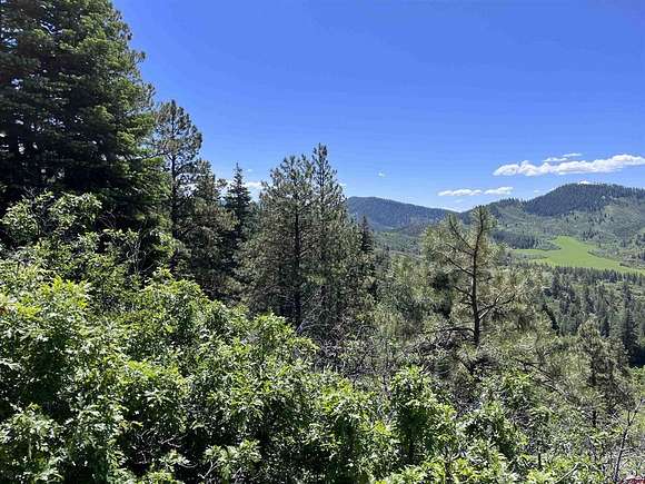 41.8 Acres of Land for Sale in Bayfield, Colorado