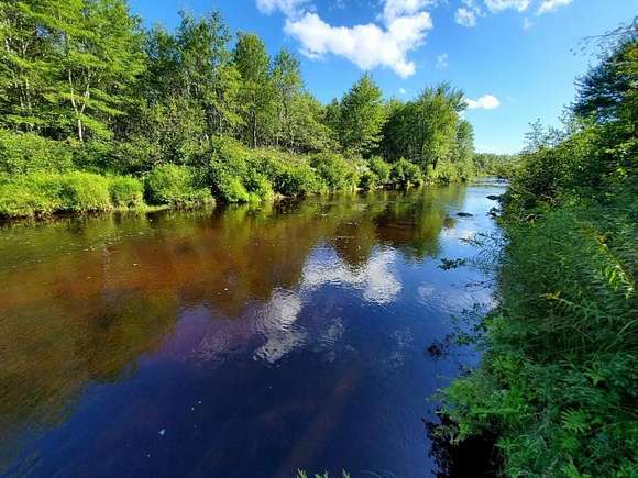 43.8 Acres of Recreational Land for Sale in Cherryfield, Maine