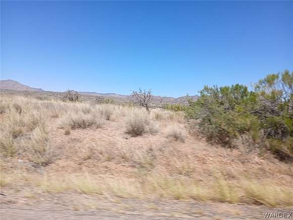 160.57 Acres of Agricultural Land for Sale in Kingman, Arizona