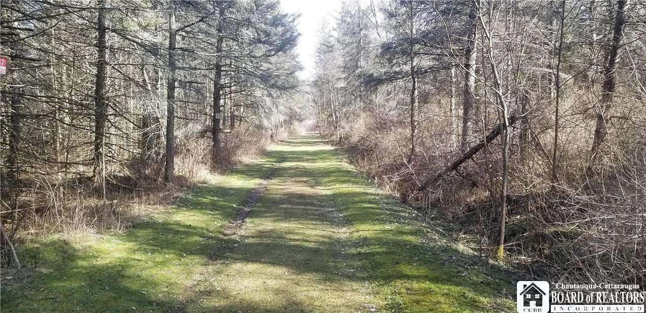 0.87 Acres of Land for Sale in Leon, New York