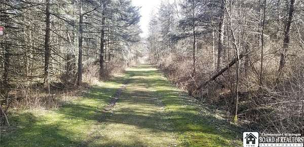 0.87 Acres of Land for Sale in Leon, New York