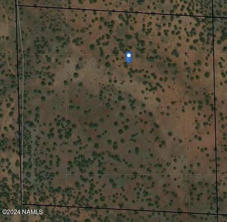 40 Acres of Land for Sale in Williams, Arizona