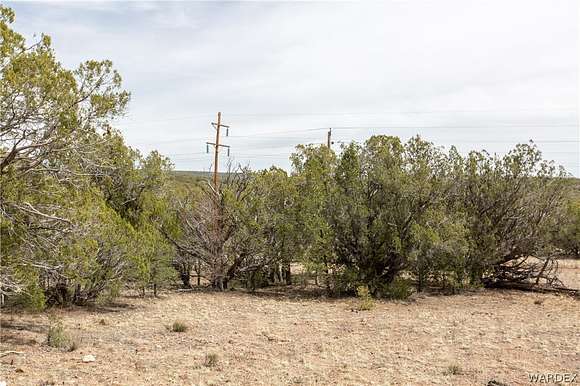 36.4 Acres of Recreational Land for Sale in Peach Springs, Arizona