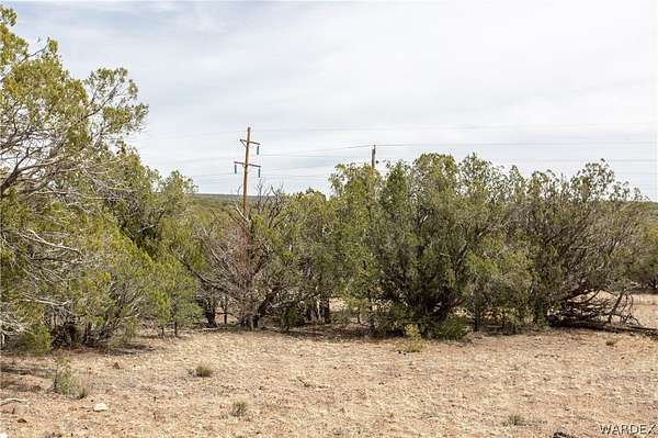 36.4 Acres of Recreational Land for Sale in Peach Springs, Arizona
