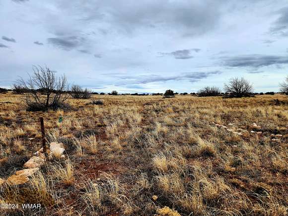 36.5 Acres of Land for Sale in Heber, Arizona