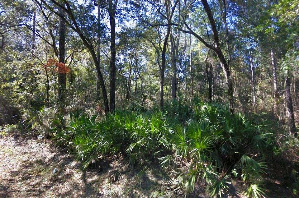 Residential Land for Sale in Fort McCoy, Florida