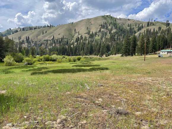 13.81 Acres of Land for Sale in Lowman, Idaho