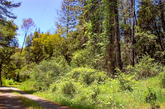 4.4 Acres of Residential Land for Sale in Sutter Creek, California