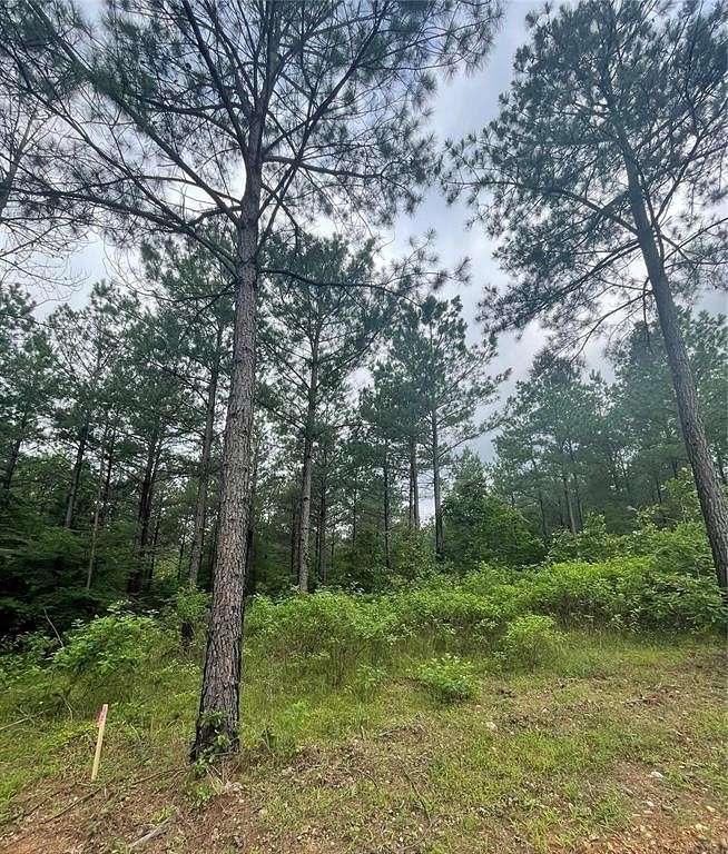 1.003 Acres of Residential Land for Sale in Broken Bow, Oklahoma