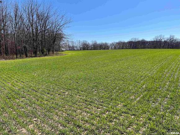 78 Acres of Recreational Land & Farm for Sale in Pleasant Hill, Illinois
