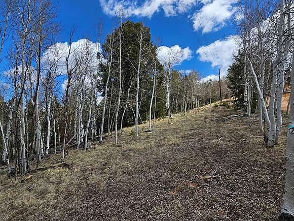 2 Acres of Residential Land for Sale in Cripple Creek, Colorado