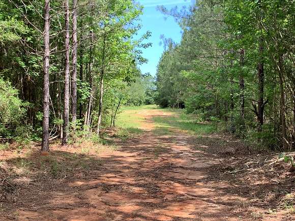 61.8 Acres of Recreational Land for Sale in Magnolia, Mississippi
