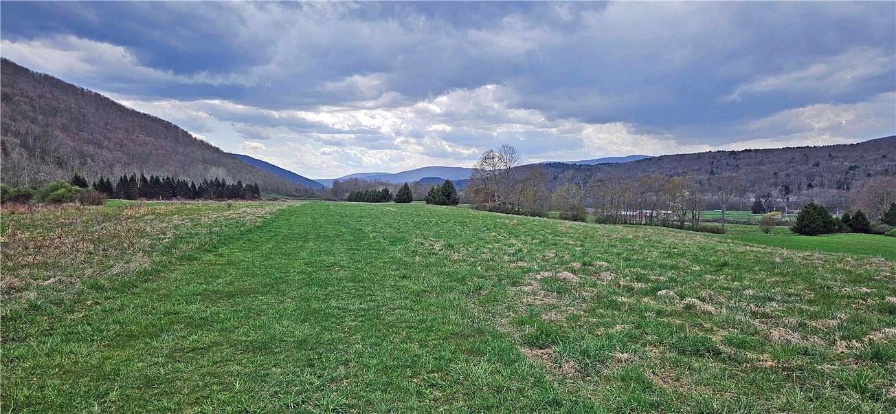 8.84 Acres of Land for Sale in Roxbury, New York