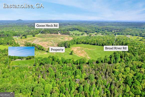 119 Acres of Agricultural Land for Sale in Toccoa, Georgia
