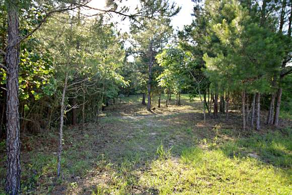 1.3 Acres of Residential Land for Sale in Ellisville, Mississippi