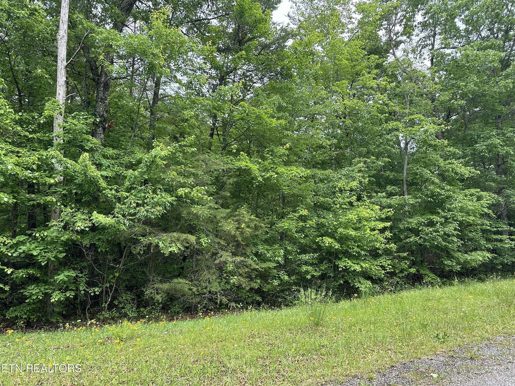 1.1 Acres of Residential Land for Sale in Monterey, Tennessee