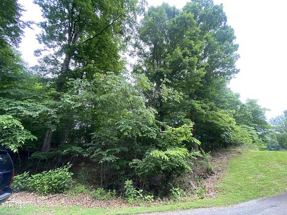 Residential Land for Sale in Blountville, Tennessee