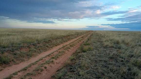 Residential Land for Sale in Moriarty, New Mexico