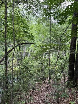 2.71 Acres of Land for Sale in West Columbia, South Carolina