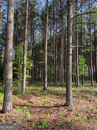 11.7 Acres of Land for Sale in Sardis, Georgia