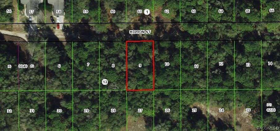 0.23 Acres of Land for Sale in Inverness, Florida