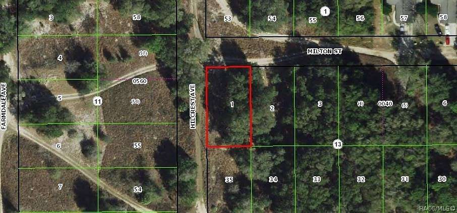 0.23 Acres of Residential Land for Sale in Inverness, Florida