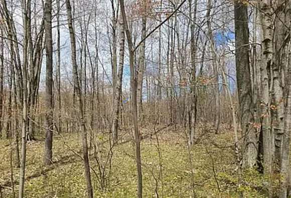 1.4 Acres of Residential Land for Sale in Reed City, Michigan
