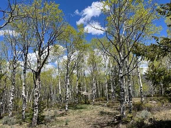 8.3 Acres of Residential Land for Sale in Kremmling, Colorado