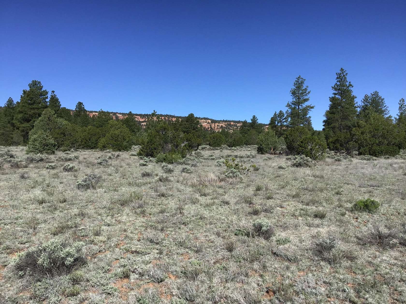 12.56 Acres of Recreational Land for Sale in Ramah, New Mexico