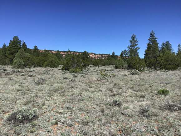 12.6 Acres of Recreational Land for Sale in Ramah, New Mexico