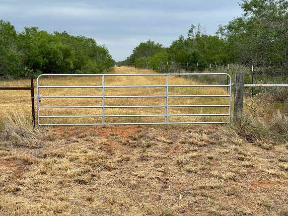 40 Acres of Recreational Land & Farm for Sale in Realitos, Texas