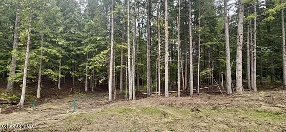 0.52 Acres of Residential Land for Sale in Nordman, Idaho