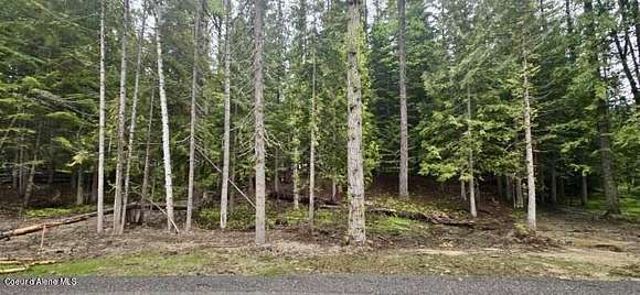 0.59 Acres of Residential Land for Sale in Nordman, Idaho