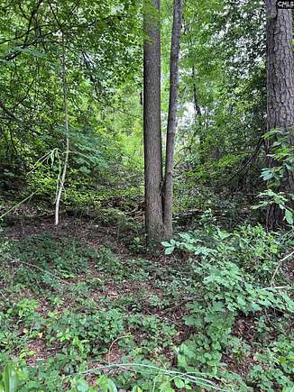 2.71 Acres of Land for Sale in West Columbia, South Carolina