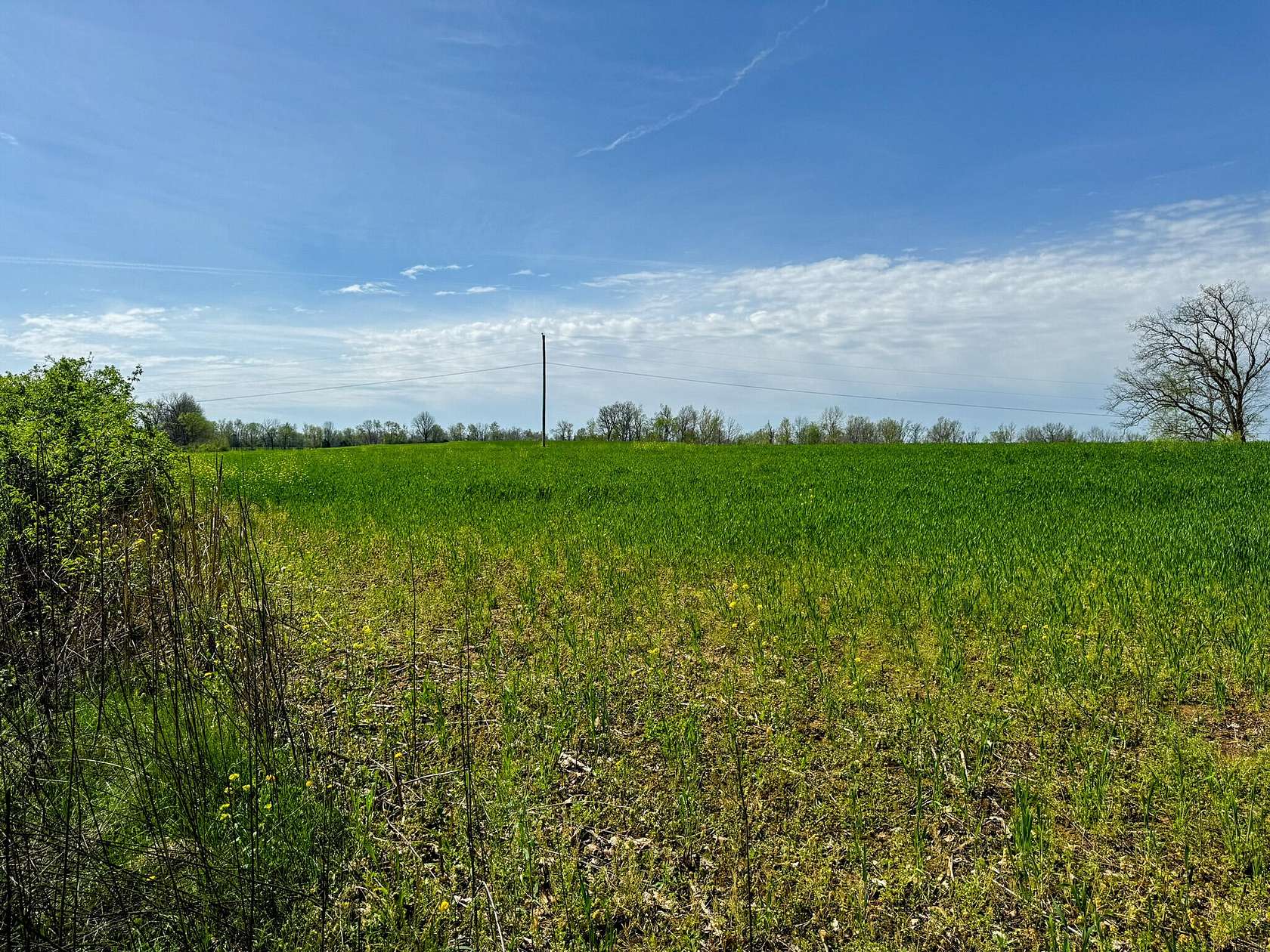 5.2 Acres of Land for Sale in Shelbyville, Kentucky