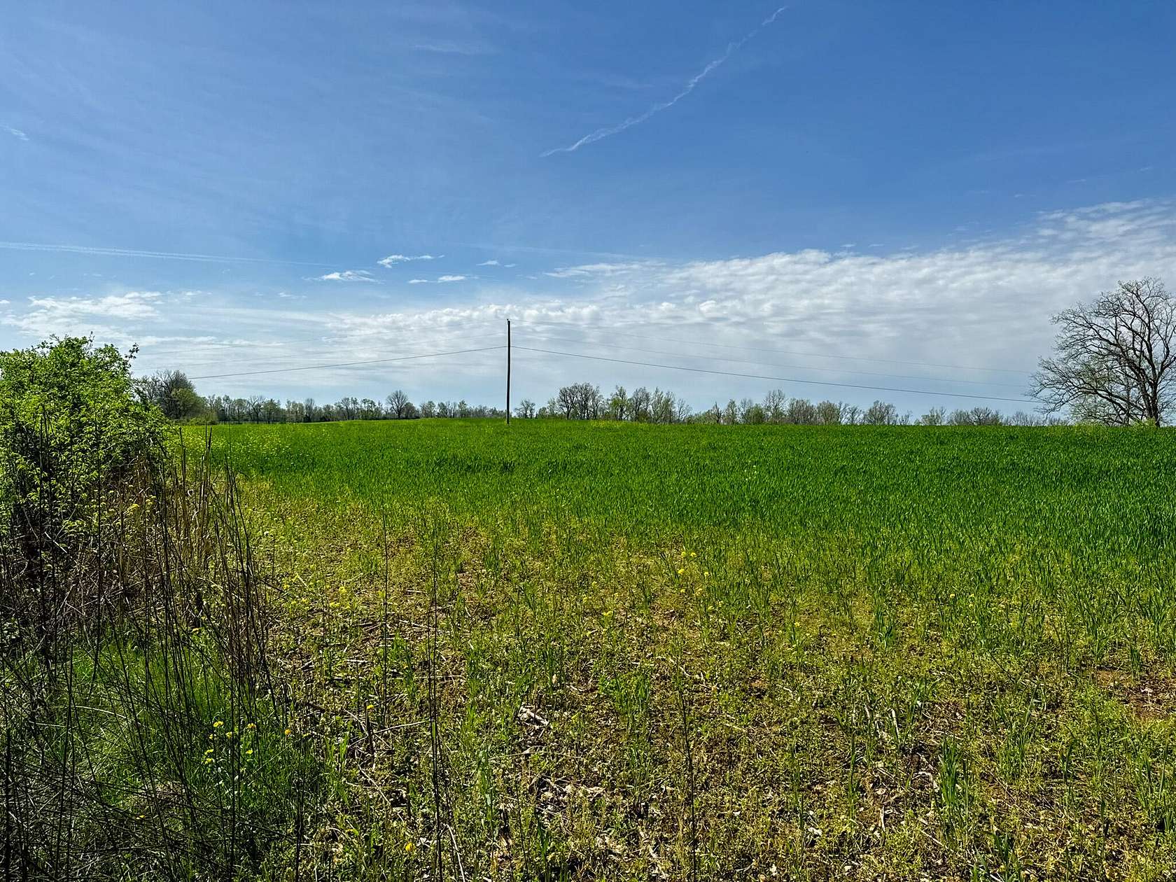 17.1 Acres of Land for Sale in Shelbyville, Kentucky