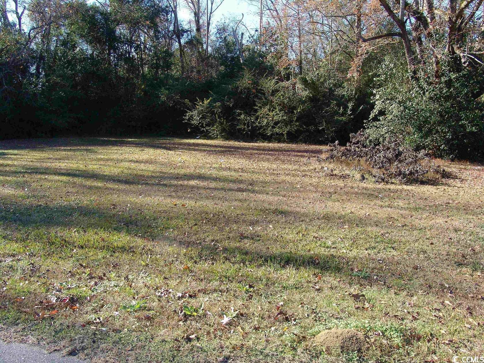 0.3 Acres of Residential Land for Sale in Andrews, South Carolina