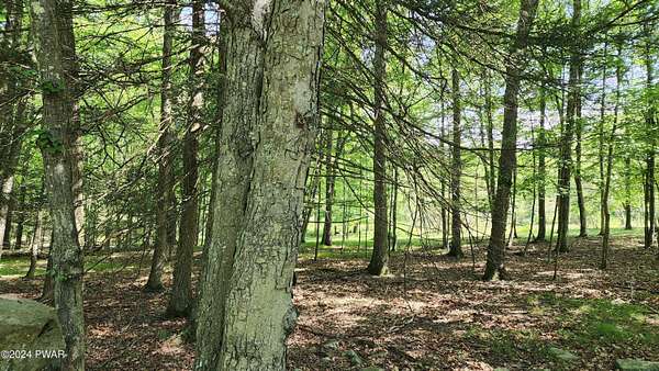 0.5 Acres of Residential Land for Sale in Bushkill, Pennsylvania