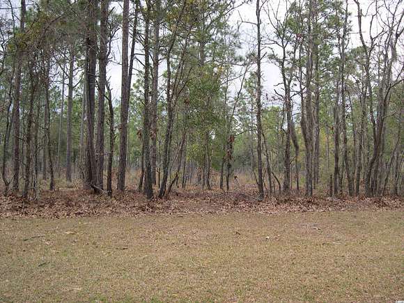 0.17 Acres of Residential Land for Sale in Georgetown, South Carolina