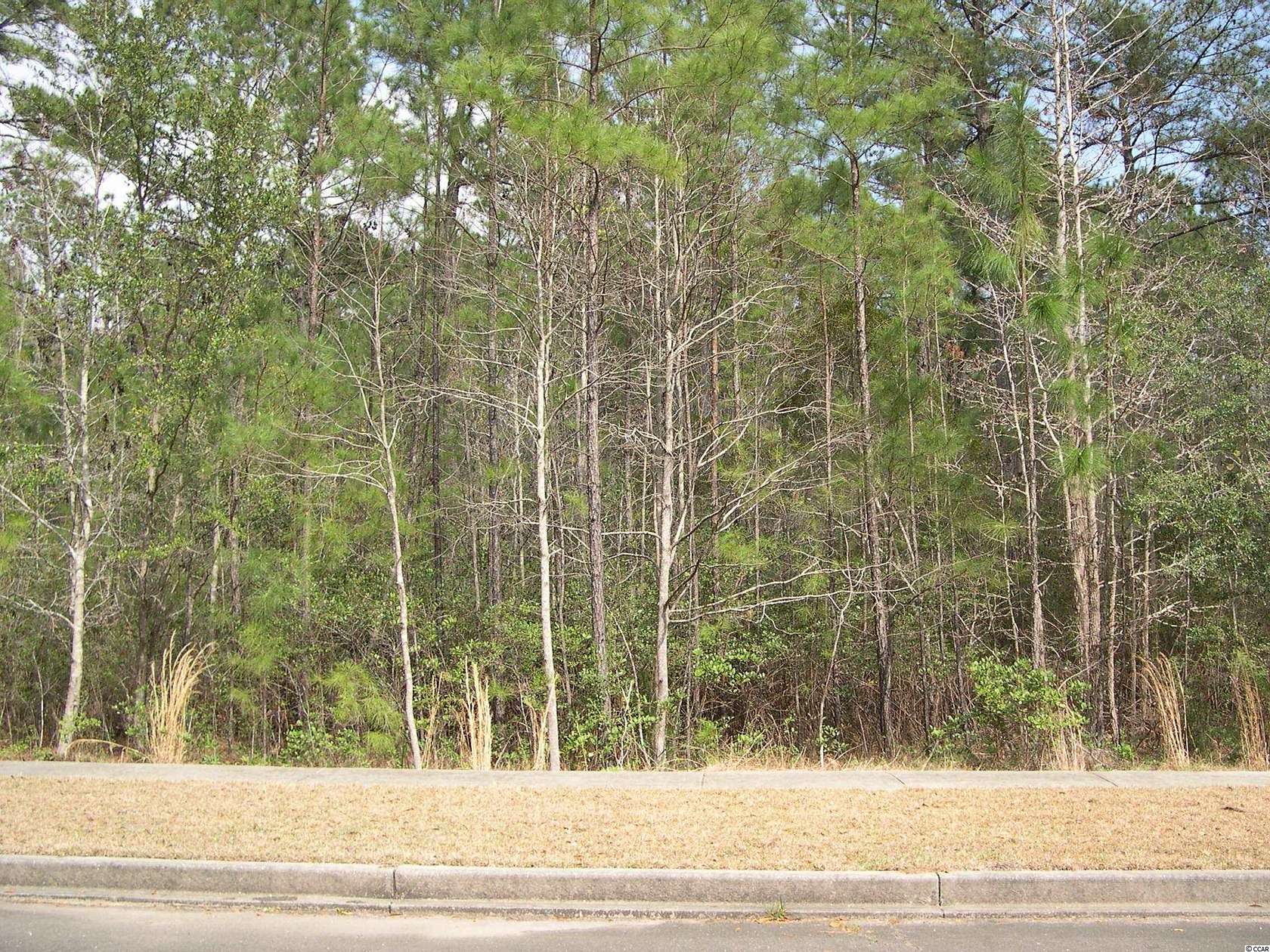 0.15 Acres of Residential Land for Sale in Georgetown, South Carolina