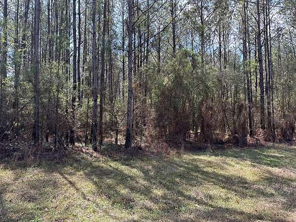 8.4 Acres of Residential Land for Sale in Picayune, Mississippi