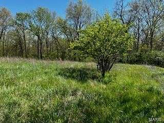 9.4 Acres of Residential Land for Sale in Foley, Missouri