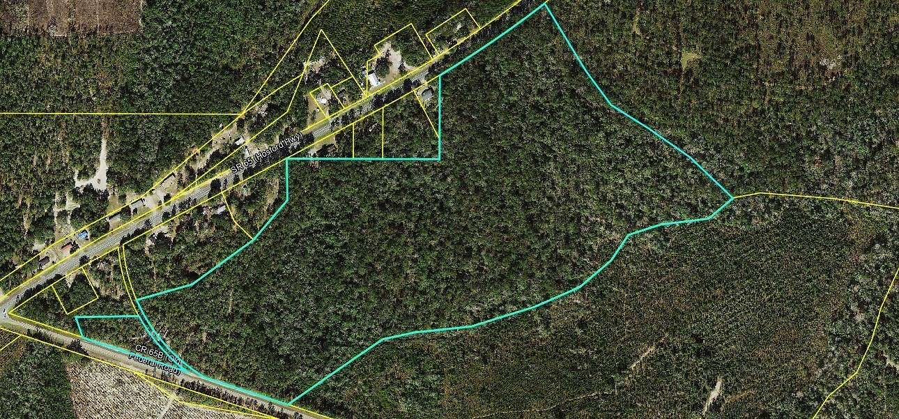 73.2 Acres of Land for Sale in Quincy, Florida