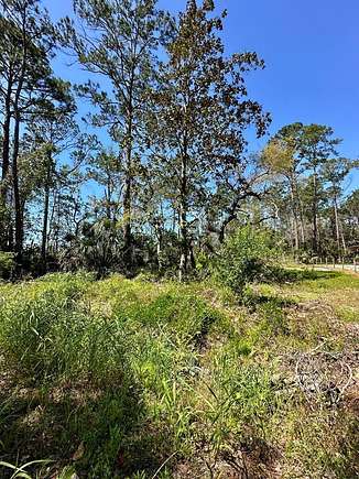 0.17 Acres of Land for Sale in Steinhatchee, Florida