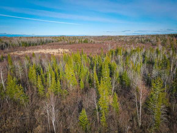 80 Acres of Land for Sale in Newberry, Michigan