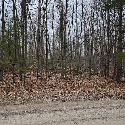 1 Acre of Residential Land for Sale in Greenbush, Michigan