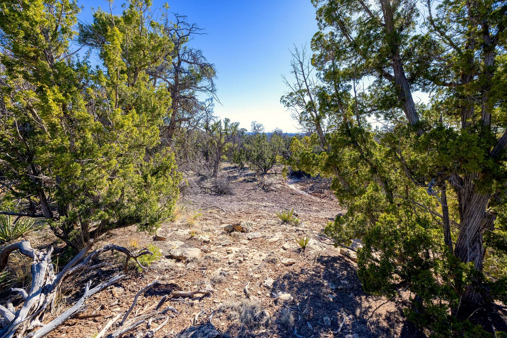 2.5 Acres of Recreational Land for Sale in Pinehill, New Mexico