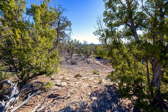 2.5 Acres of Recreational Land for Sale in Pinehill, New Mexico